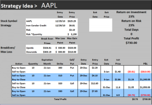 AAPL-2 JAN 2011