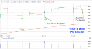 AAPL JAN 2011